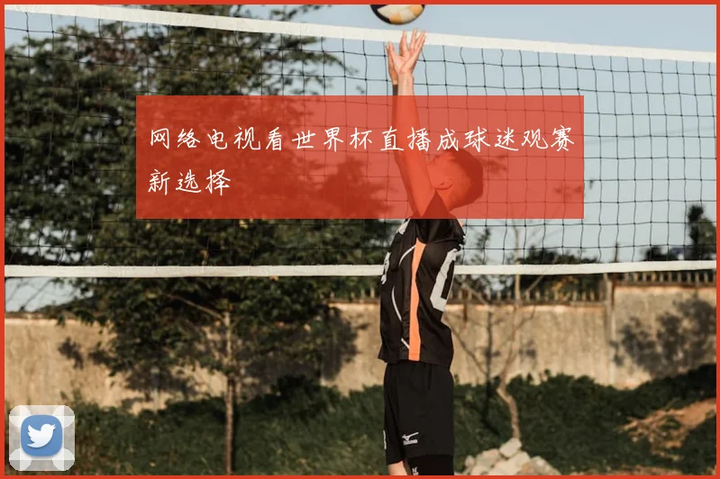 网络电视看世界杯直播成球迷观赛新选择